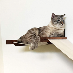 Best Cat Hammocks