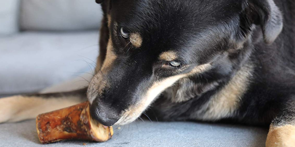 How To Cook Marrow Bones For Dogs