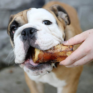 How to Cook Marrow Bones for Dogs