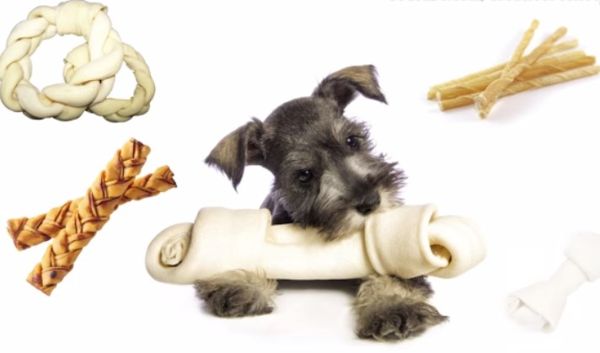 10 Best Rawhide for Puppies to Buy in (November 2020) - Buyer's Guide