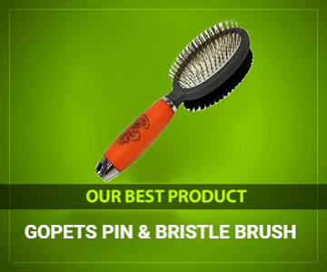 GoPets Pin & Bristle Brush review