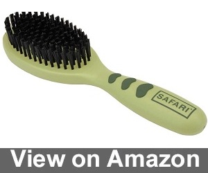 Safari Bristle Brush Review