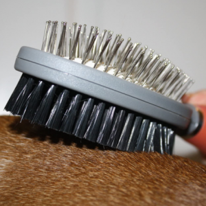 hair brush for pitbulls