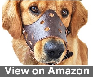 Adjustable Leather Muzzle from Photoiscool Review