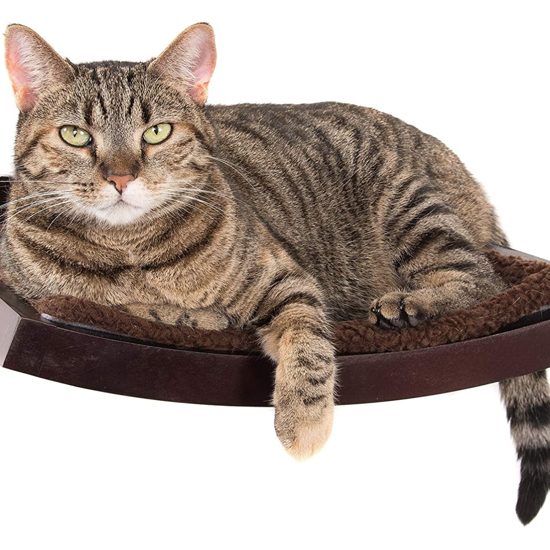 Art of Paws Cat Shelf review