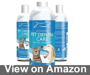 Emmy’s Pet Dental Care Water Additive Review