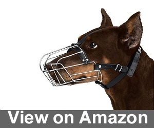 Metal Wired Muzzle from BronzeDog Review