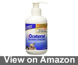 Oratene Brushless Oral Care Review