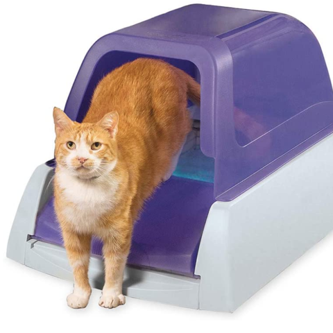 PetSafe ScoopFree Ultra review