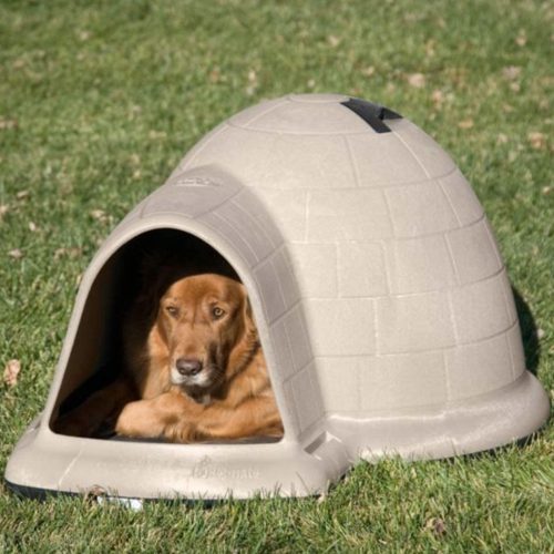 igloo type dog houses