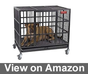 dog crate for pitbull