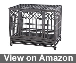 heavy duty dog cages pitbulls