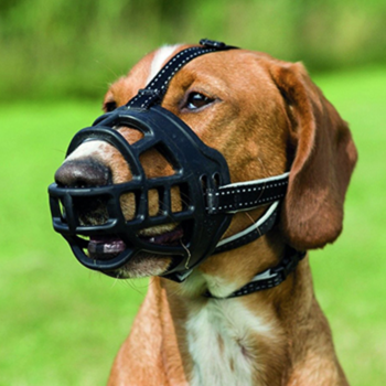 best muzzle for dogs forum