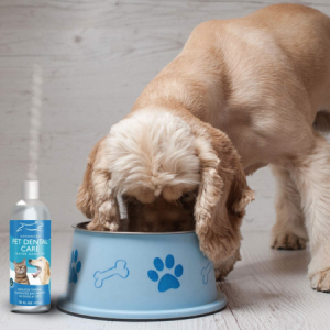 dog tartar control water additive