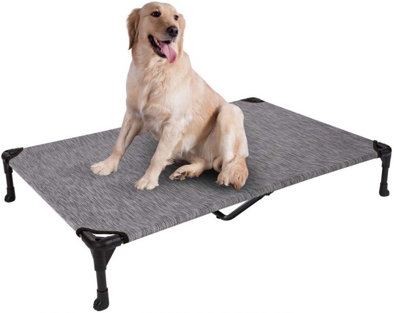 9 Best Indestructible Dog Beds