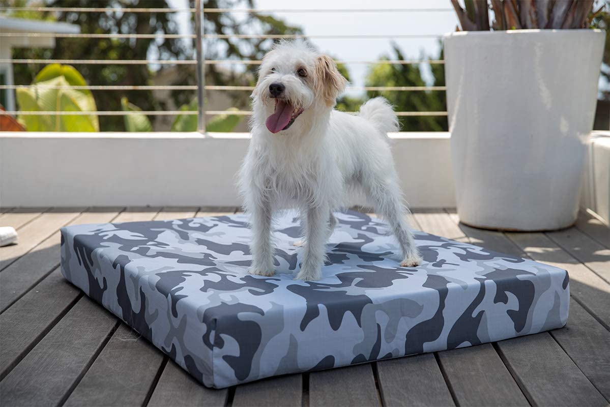 9 Best Indestructible Dog Beds 9 Best Indestructible Dog Beds