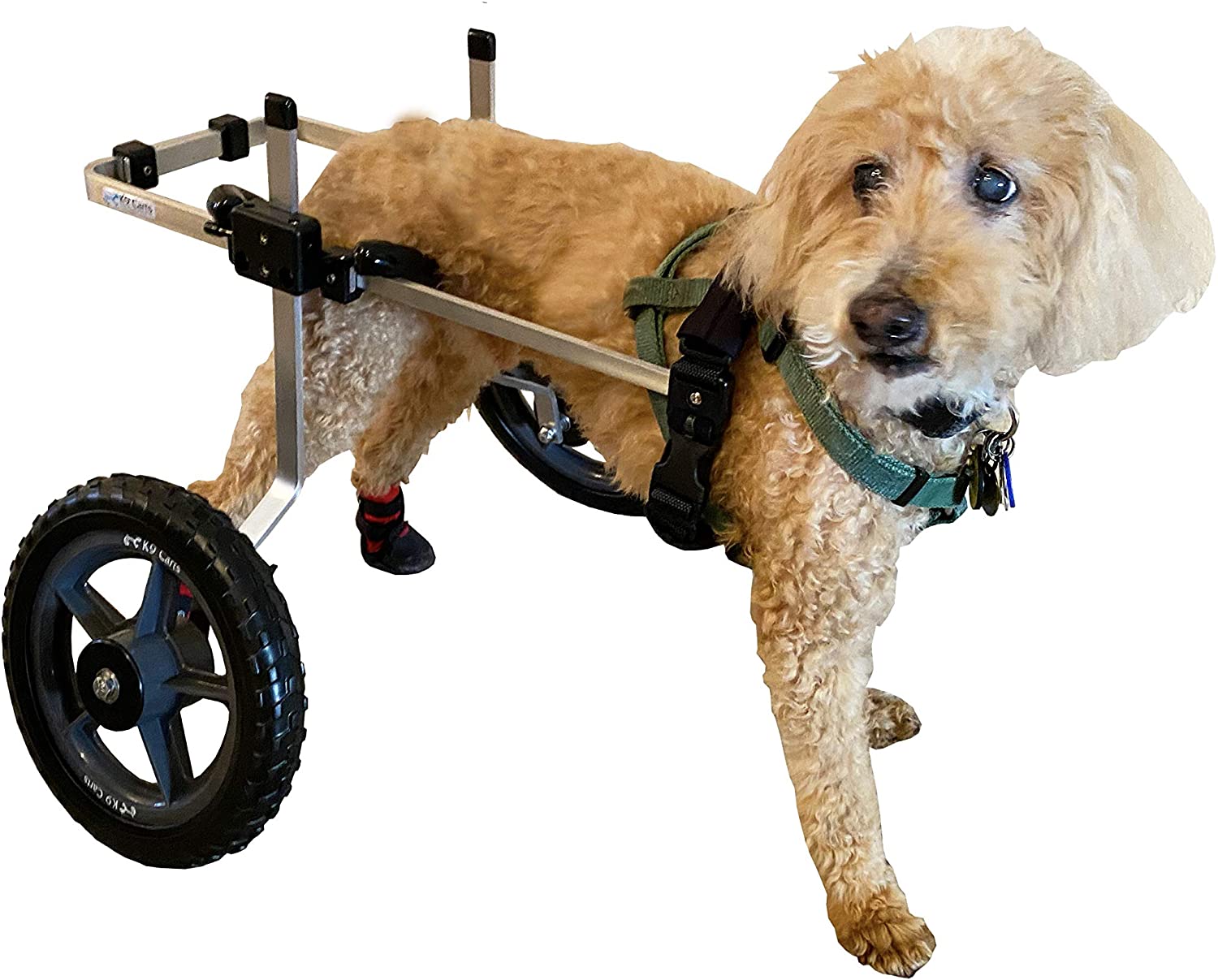 🥇7 Best Dog Wheelchairs to Buy in (March 2021) - Buyer’s Guide