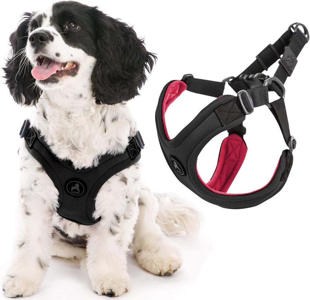 7 Best Escape Proof Dog Harness