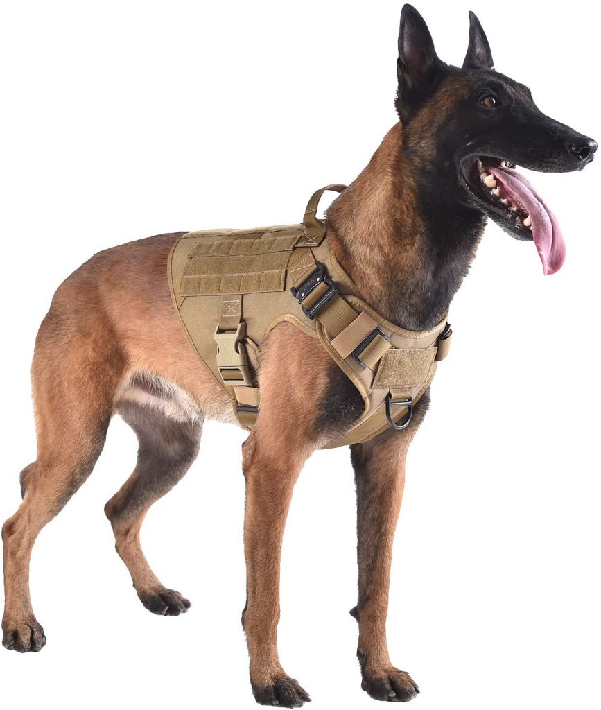 7 Best Escape Proof Dog Harness