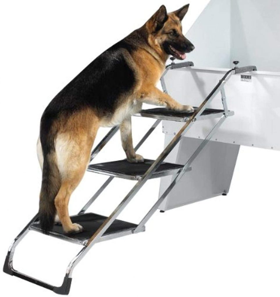 5 Best Boat Ramps & Ladders for Dogs