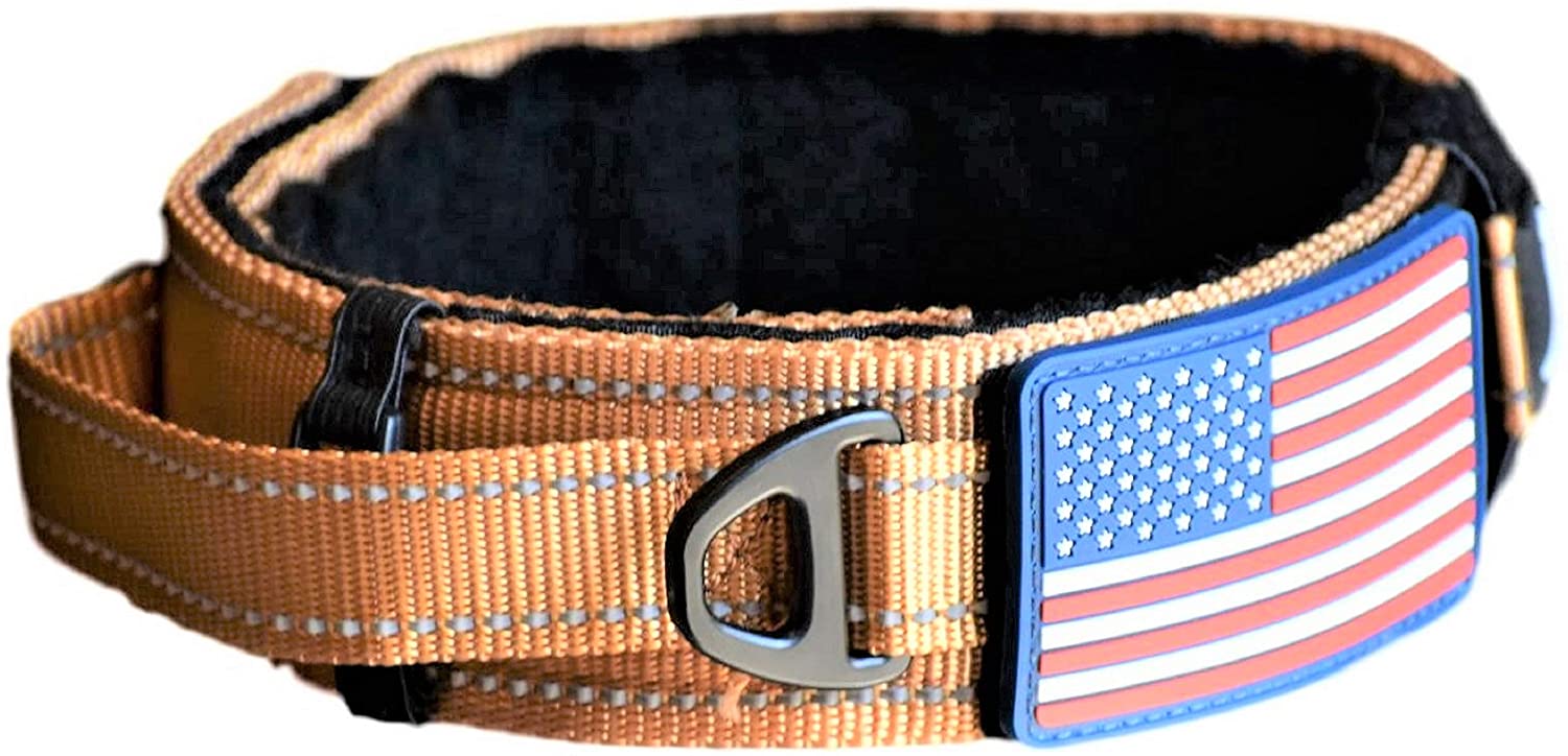 top-11-military-dog-collars-that-are-tactical-and-cool