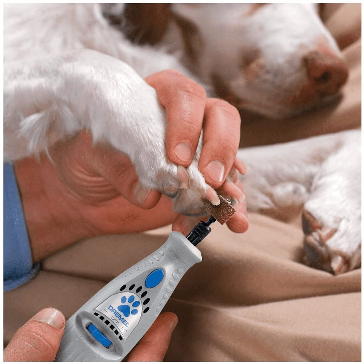 The 7 Best Dog Nail Grinders Easiest to Use