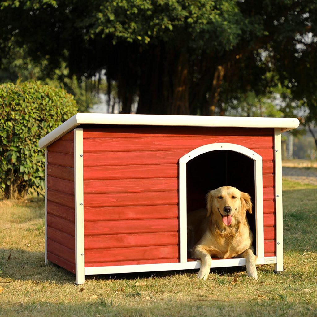 10 Best Dog Houses To Buy In January 2022 Buyer S Guide