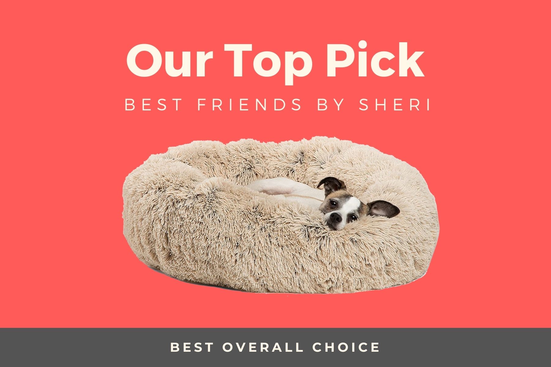 Best Friends by Sheri original cuddler
