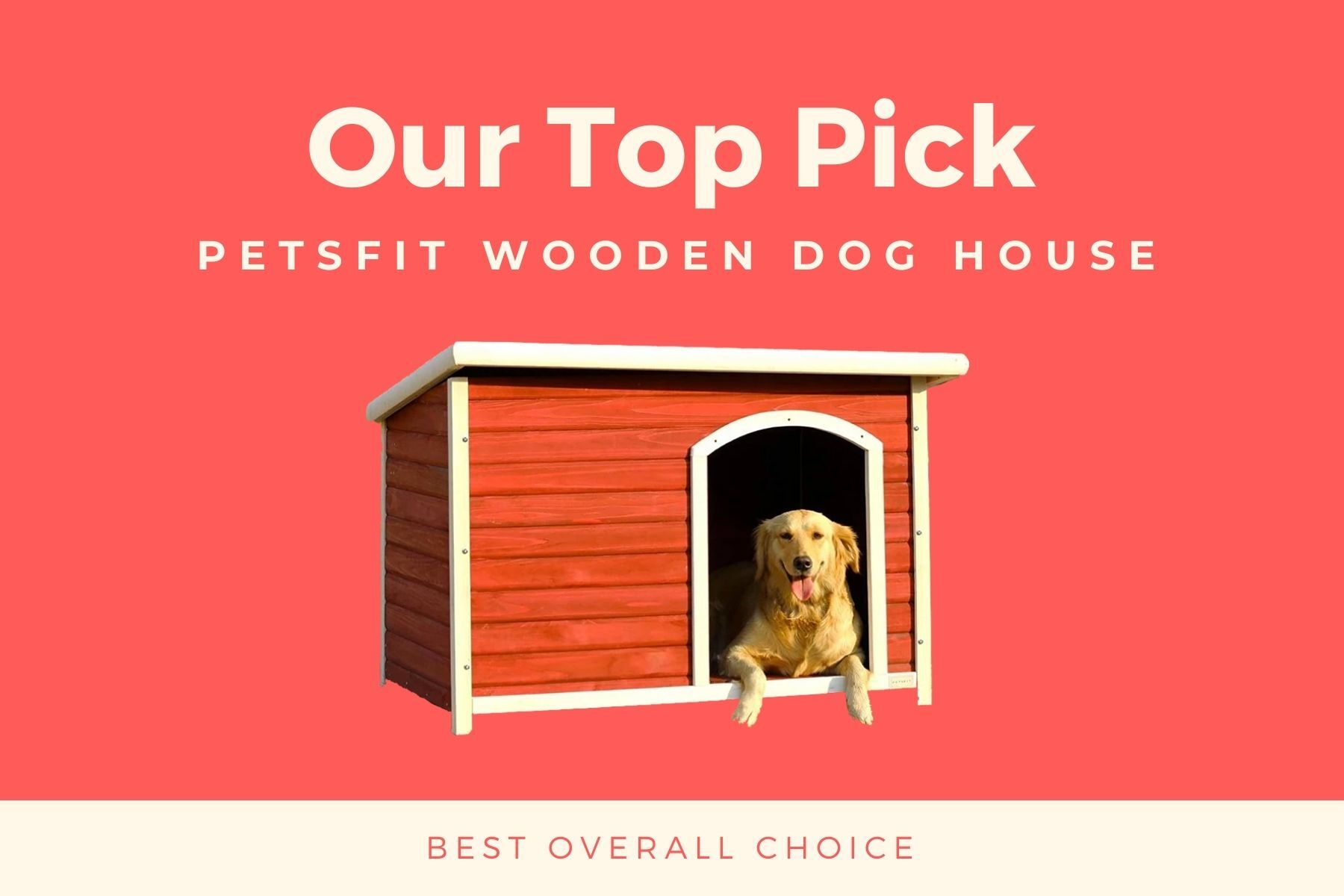 Indigo Dog House with Microban review