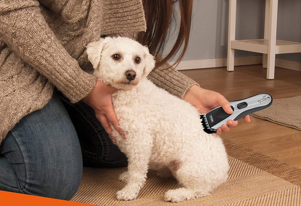 🥇10 Best Dog Grooming Clippers to Buy in (May 2024) Buyer’s Guide