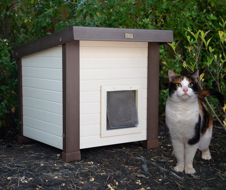 🥇9 Best Outdoor Cat Houses to Buy in (May 2024) - Buyer’s Guide