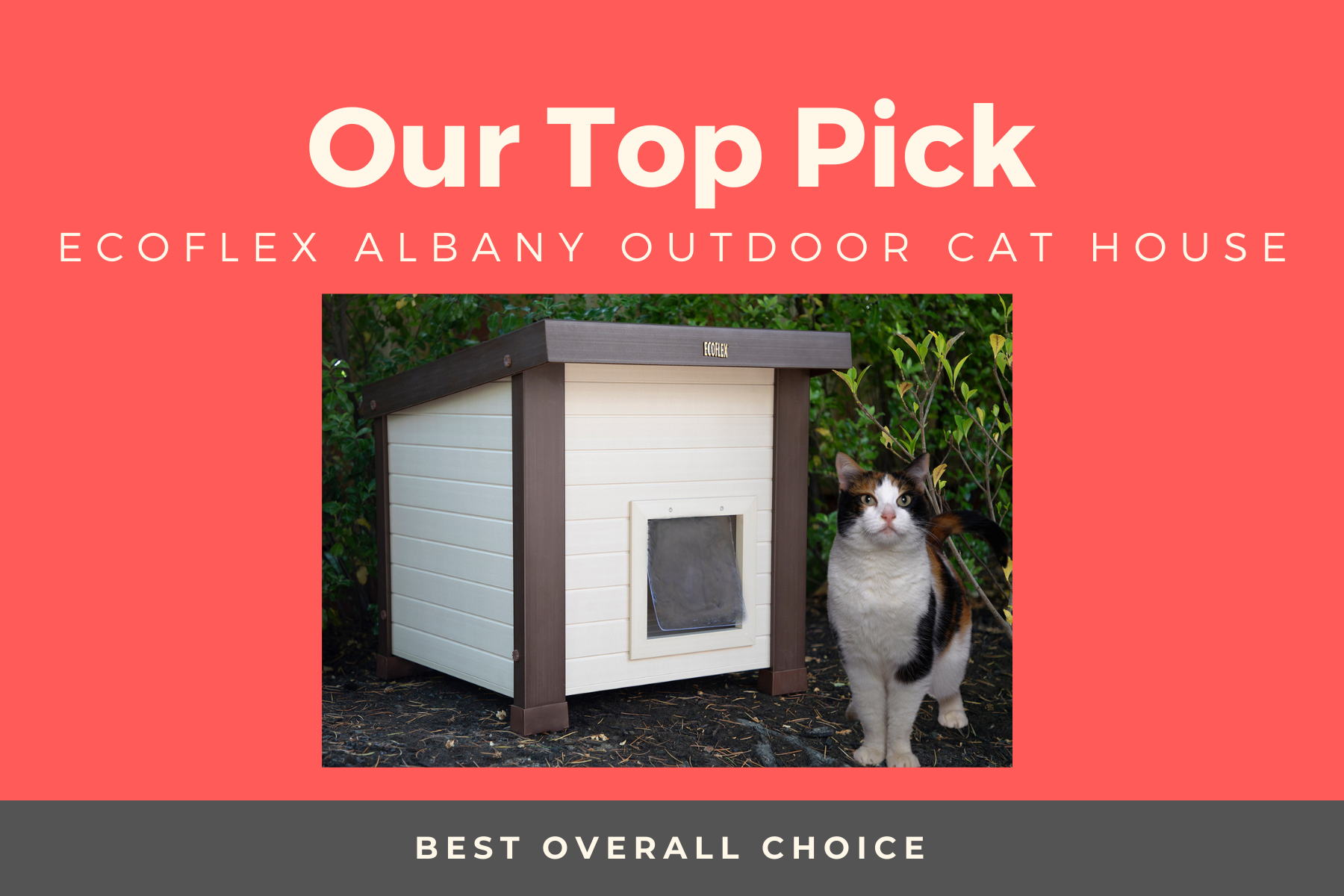 Petsfit Weatherproof Outdoor review